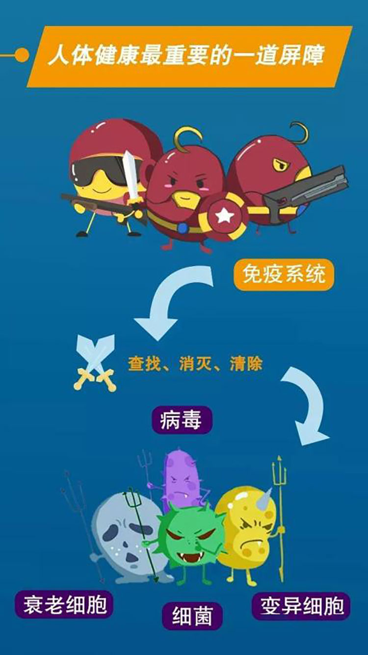 免疫系统中的“鱿鱼游戏”，需要有好的睡眠才能获胜。